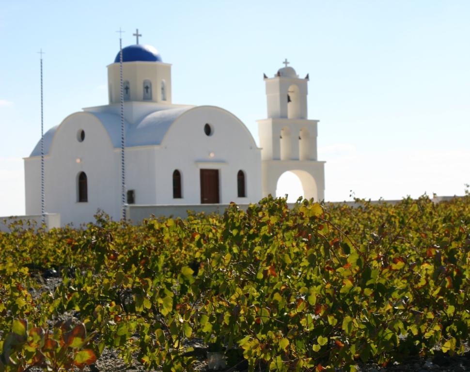 SantoriniVineyard.JPG
